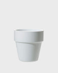 Daily Cup M
